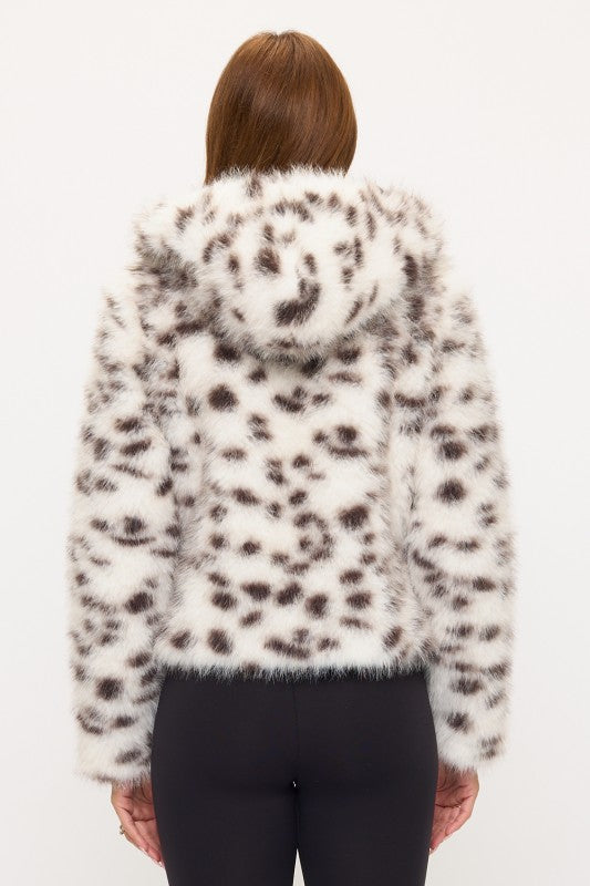 CLAFJ0029: The Spotted Socialite