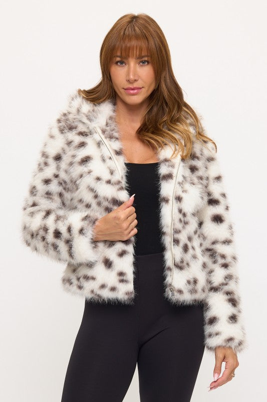 CLAFJ0029: The Spotted Socialite